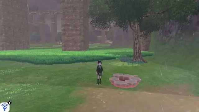 Max Raid Battle Dens