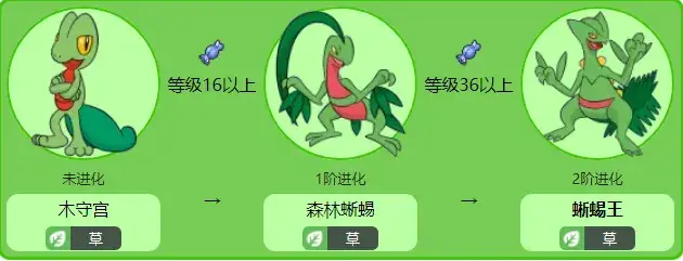 Treecko: Khám Phá Sức Mạnh Và Bí Mật Của Pokemon Khởi Đầu Hệ Cỏ