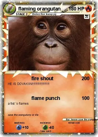 Giải Mã Orangutan Pokemon: Sức Mạnh Trí Tuệ Của Oranguru Trong Thế Giới Pokemon