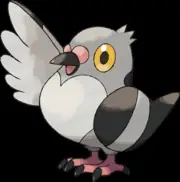 Pidgeon Pokemon