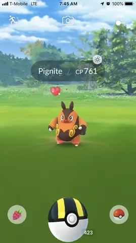 How To Catch Pignite In Pokemon Go