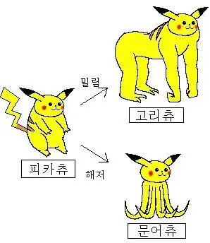 Các Giai Đoạn Tiến Hóa Của Pikachu: Hướng Dẫn Chi Tiết