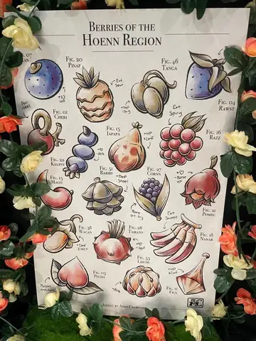 Berry Trong Pokemon: Giảm Ev, Tăng Hạnh Phúc Và Nơi Thu Thập