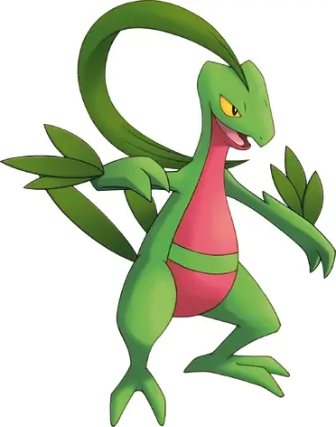 253grovyle Pmd Explorers
