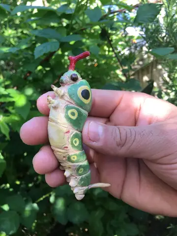 Giới Thiệu Chung Và Đặc Điểm Cơ Bản Của Caterpie