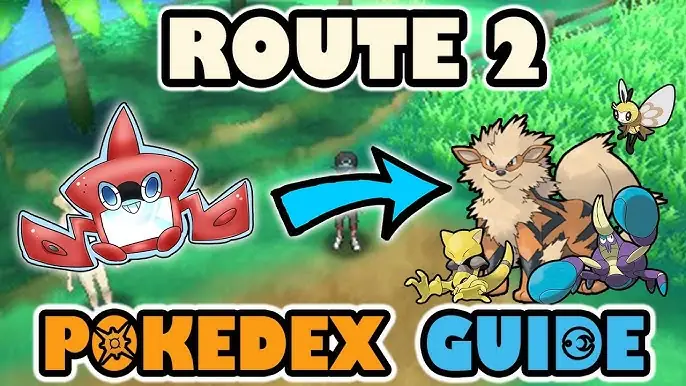 Pokemon Sun And Moon Route 2: Hướng Dẫn Chi Tiết Vùng Đất Đầu Tiên
