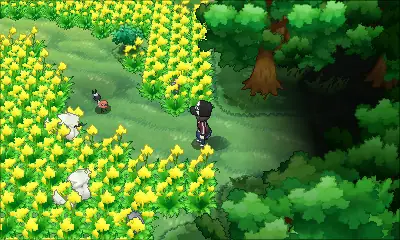 Pokemon Village Xy: Hướng Dẫn Chi Tiết Về Làng Pokemon Kalos