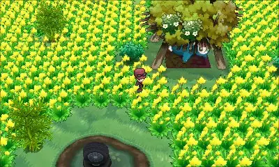 Pokemon Village Xy: Hướng Dẫn Chi Tiết Về Làng Pokemon Kalos