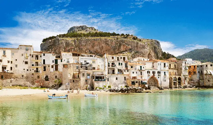 Thông Tin Cơ Bản Và Đặc Điểm Ngoại Hình Của Pyukumiku