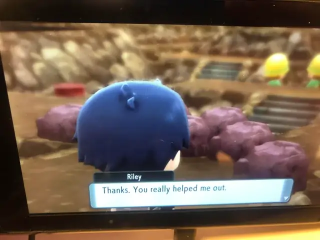 Trứng Riolu Từ Riley: Mọi Điều Huấn Luyện Viên Cần Biết Về Giới Tính Và Chỉ Số