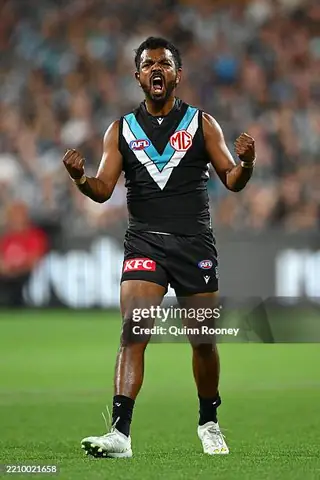 Hướng Dẫn Toàn Diện Về Riolu: Thông Tin, Cách Phát Triển & Sức Mạnh