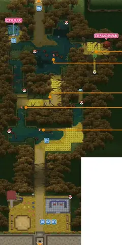 Hướng Dẫn Chi Tiết Route 14 Kalos: Khám Phá Đầm Lầy Bí Ẩn