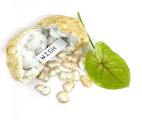 Hướng Dẫn Chi Tiết Chinh Phục Wish Cave Trong Pokémon Mystery Dungeon Dx