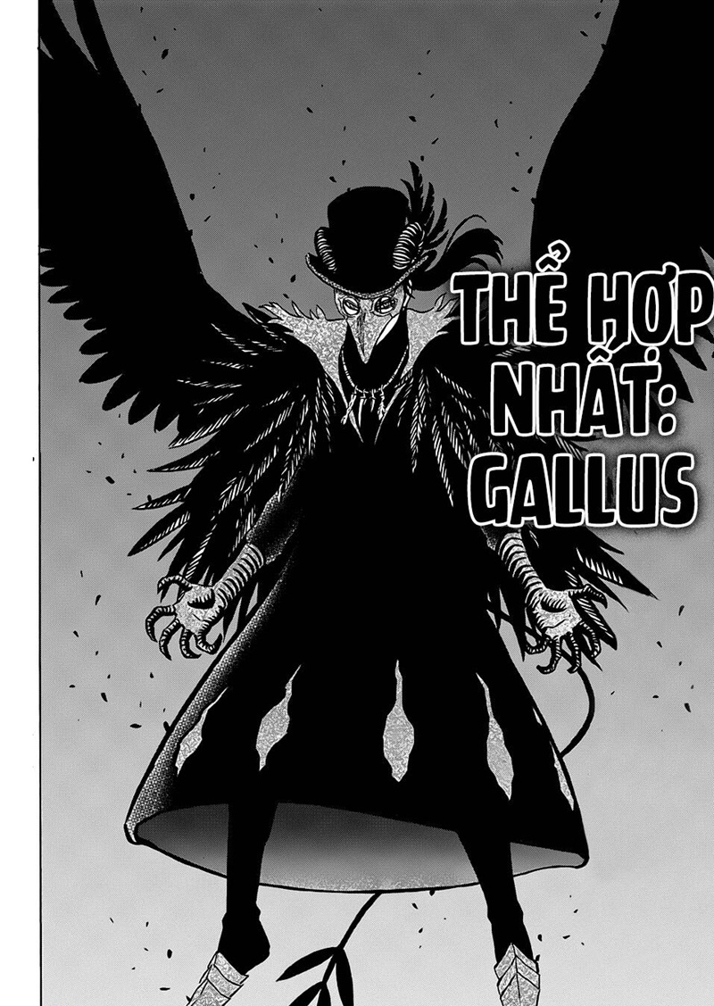 black clover chap 285 4