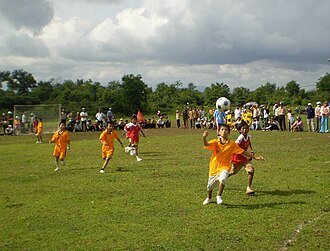 Môn thể thao nào đã giúp Nguyễn Tiến Minh nổi tiếng trong thể thao Việt Nam?