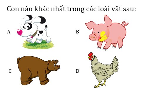 Đố vui: Con gì càng to càng nhỏ?