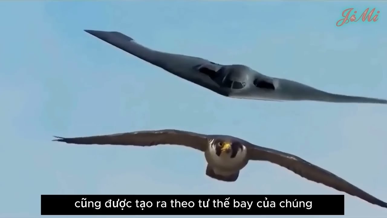 Loài động vật nào có tốc độ chạy nhanh nhất trên mặt đất?